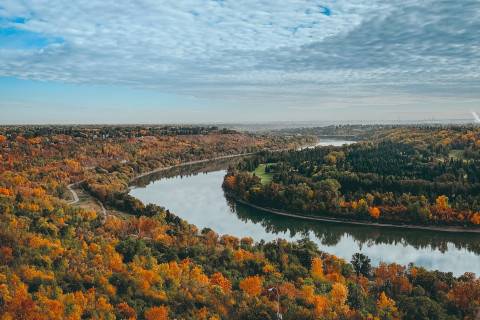 Panel 7: Side by Side (Video)